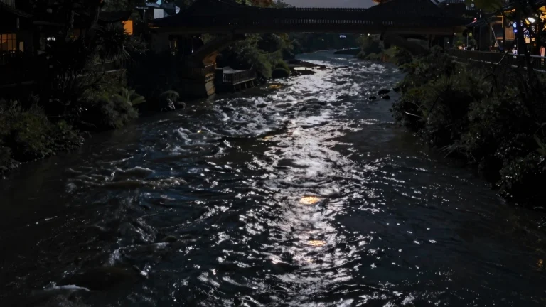 暗河载梦向东流